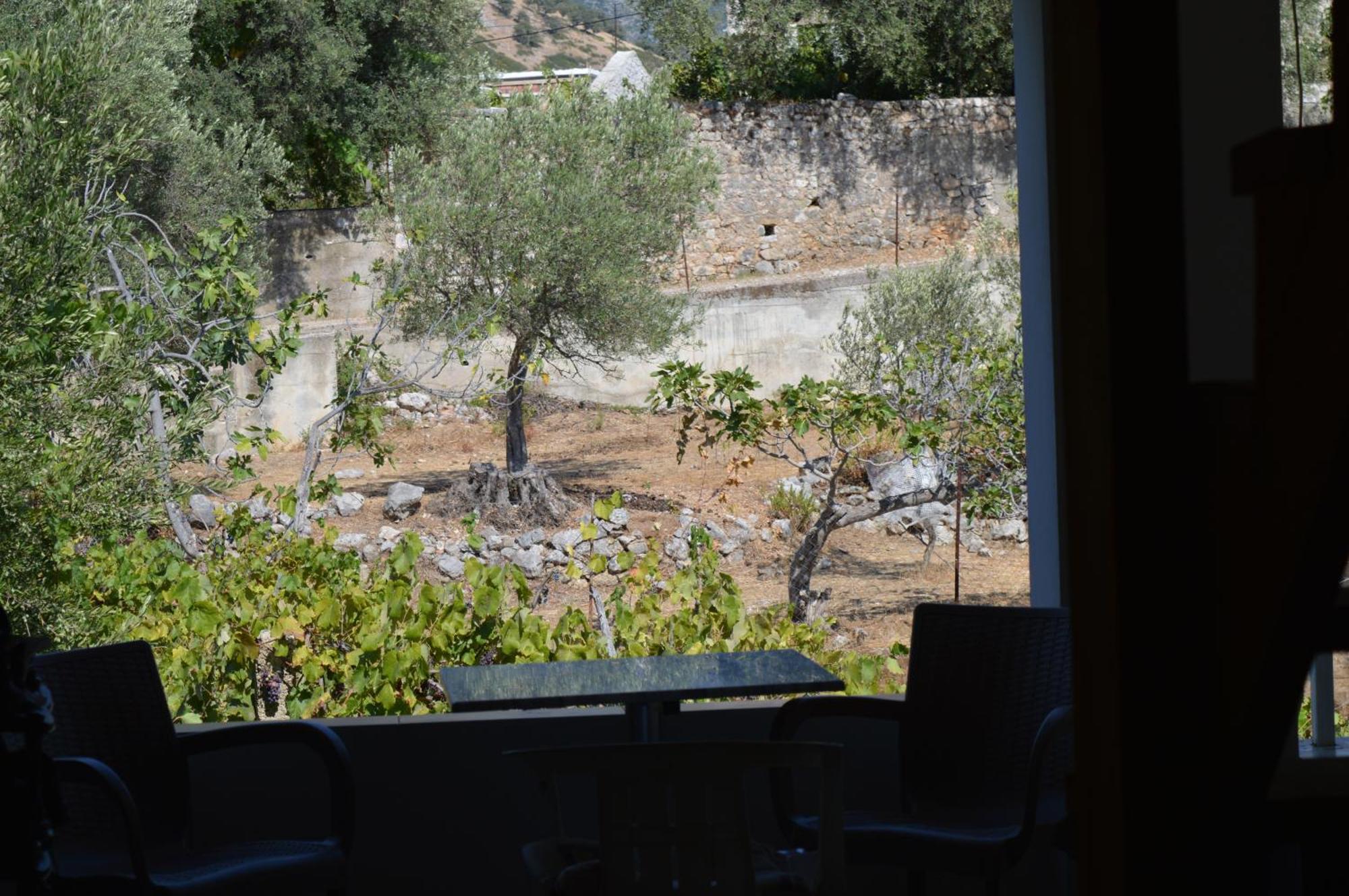 הימארה Tolis Rooms מראה חיצוני תמונה